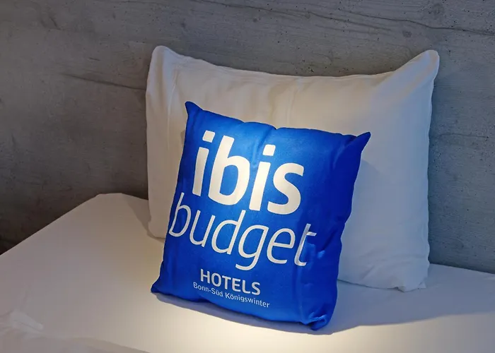酒店 Ibis Budget Bonn Sued